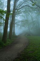 chemin à travers le parc
