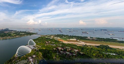 Garden By the Bay Singapur