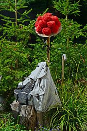 Schwarzwald Wanderung von Ingo Laue