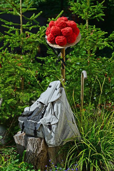 Zwarte Woud wandeling van Ingo Laue