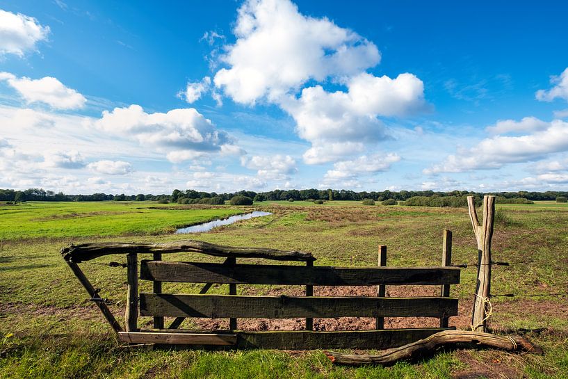 Drentsche A stream valley landscape by Evert Jan Luchies