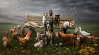 Several animals in one portrait by Cindy Dominika thumbnail
