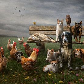 Several animals in one portrait by Cindy Dominika