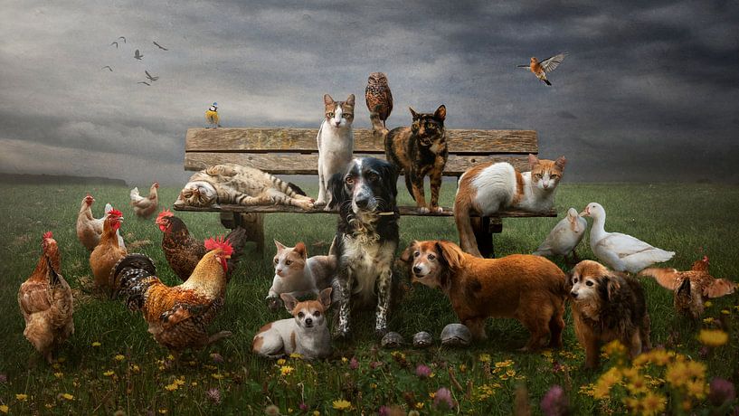 Several animals in one portrait by Cindy Dominika