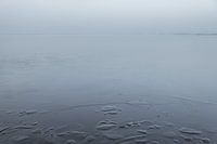 Stilte -de Weerribben