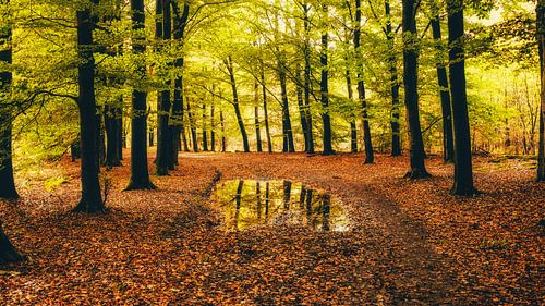 Autumnmood | Hof Espelo (1)