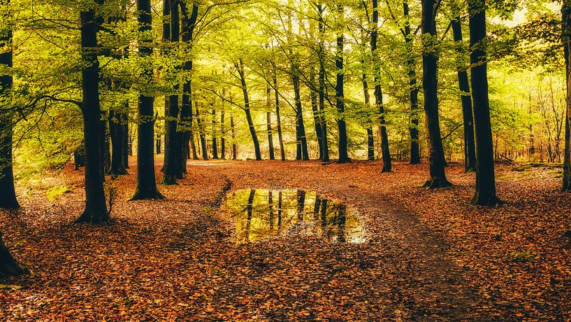 Autumnmood | Hof Espelo (1) von Rob van der Pijll