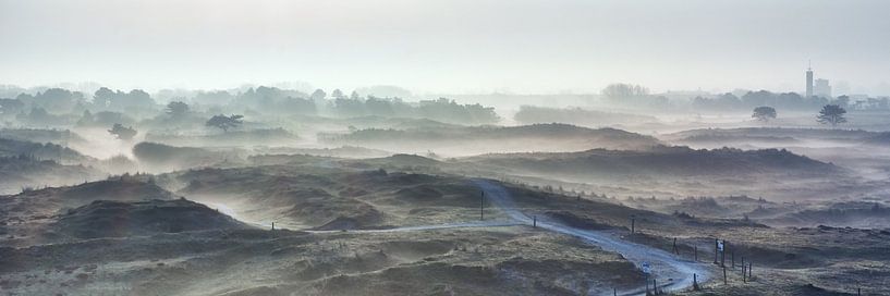 Fog in the dunes near Huisduinen and Den Helder by eric van der eijk