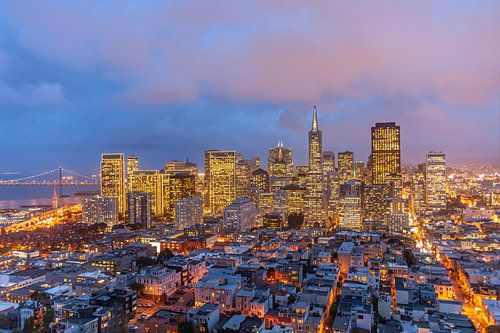 San Francisco Skyline by Peter Schickert