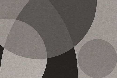 Scandinavische Zen: Grijze Cirkel Abstractie V