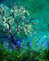 Spring