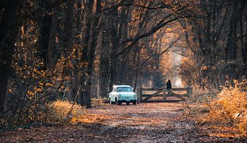 Herfs in het bos! Oude Trabant auto bij de ingang van het bos. van Arthur Scheltes