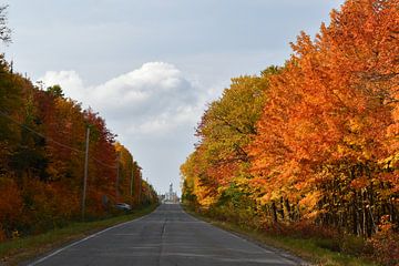 De dorpsweg in de herfst van Claude Laprise