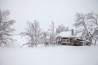 Finland, Lapland van Frank Peters thumbnail