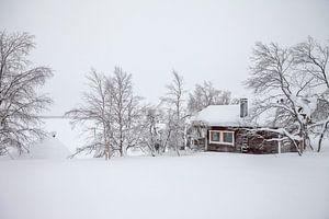 Finlande, Laponie sur Frank Peters