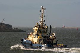 Schlepper Triton auf dem Weg zum Hafen von IJmuiden. von scheepskijkerhavenfotografie