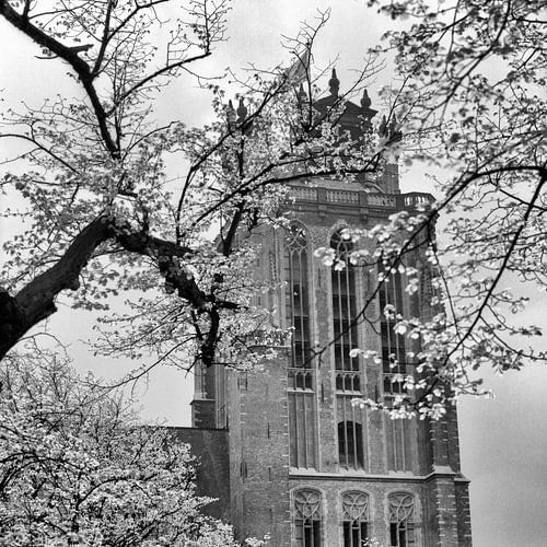 Grote Kerk Dordrecht (voorjaar april 1968) van Dordrecht van Vroeger
