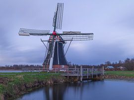 De Helper Molen - Groningen - Haren (Pays-Bas)