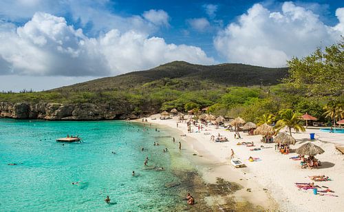 Grote Knip, Curacao