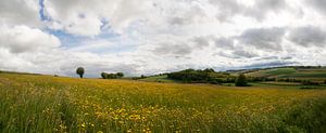 Heuvelland Panorama
