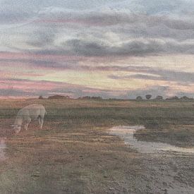 waddenlucht met schaap van Jacintha Van beveren