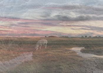 appartements à marée avec des moutons