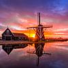Molen de otter bij oterleek van peterheinspictures