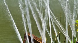 pulvérisateurs d'eau1