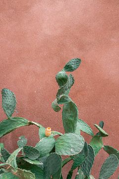 Cactus Griekenland van HelloHappylife