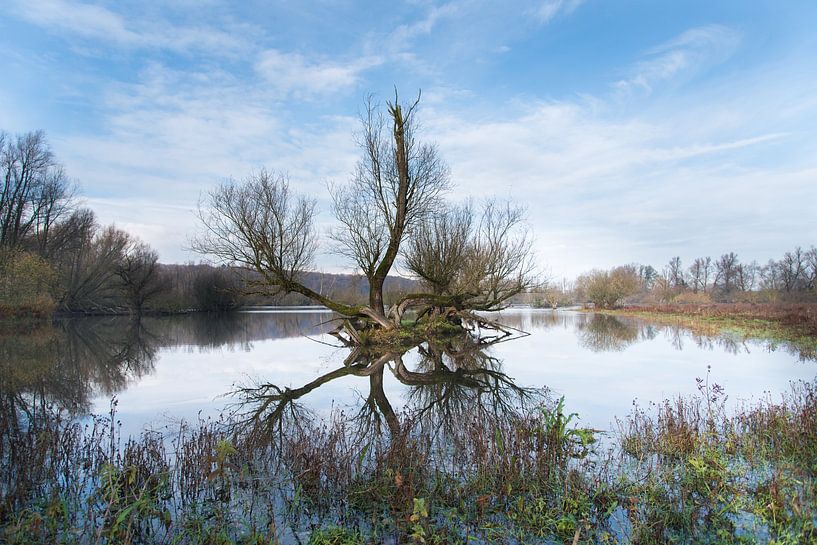 Plas bij de Blaauwe Kamer in Rhenen von Cilia Brandts