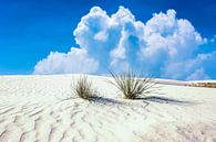 White Sands National Park, New Mexico, USA van Gert Hilbink thumbnail