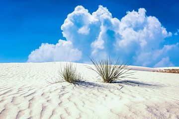 White Sands National Park, New Mexico, USA