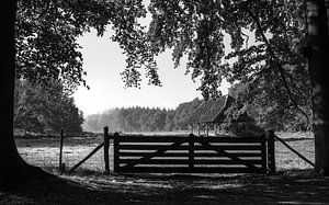 Sheepfold