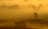 Lande de Worthrheder dans la brume du matin par Ronald Wilfred Jansen Aperçu