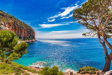 Prachtig zeezicht op de kust met kliffen op Mallorca van Alex Winter