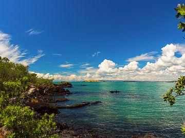 Insel Rangitoto. von Yevgen Belich