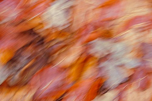 Colourful dynamic abstract