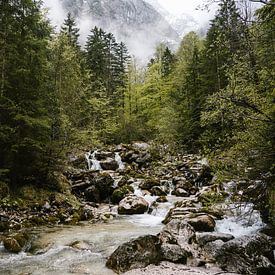 Waterfall in the mountains of Bavaria, Germany by Wianda Bongen