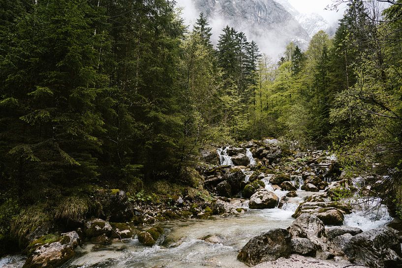 Waterval in de bergen van Beieren, Duitsland van Wianda Bongen