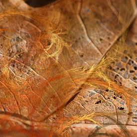 Autumn Lace by Christine GUILLET