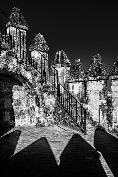 Kantelen in zwart/wit van het kasteel van Cordoba, Spanje van Harrie Muis