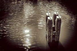 Dückdalben in der Sonne