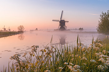 mistige ochtend in kinderdijk