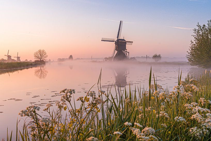 misty morning in kinderdijk by Samantha Rorijs