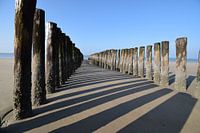 Lijnenspel van palen van strandwering en hun schaduw op het strand
