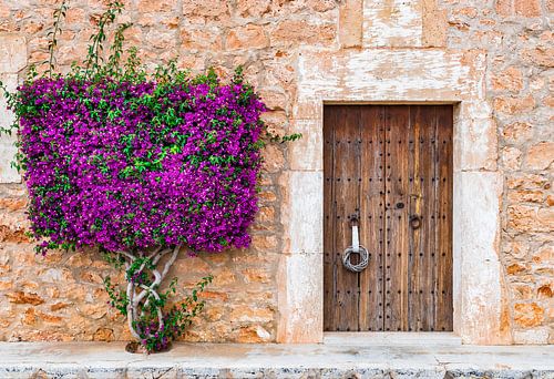 Idyllisch uitzicht op mediterrane huis voordeur met prachtige bougainvillea bloemen