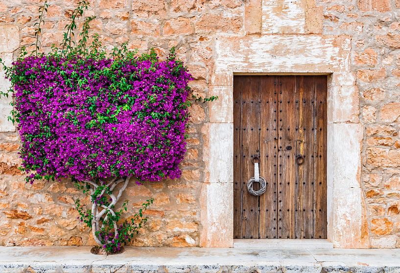 Idyllische Ansicht von mediterranen Haus Haustür mit schönen Bougainvillea Blumen von Alex Winter