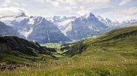 Uitzicht op de Jungfrau, Eiger en Mönch van André Hamerpagt thumbnail
