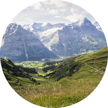 Uitzicht op de Jungfrau, Eiger en Mönch van André Hamerpagt