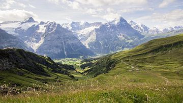 Schweizer Alpen von André Hamerpagt